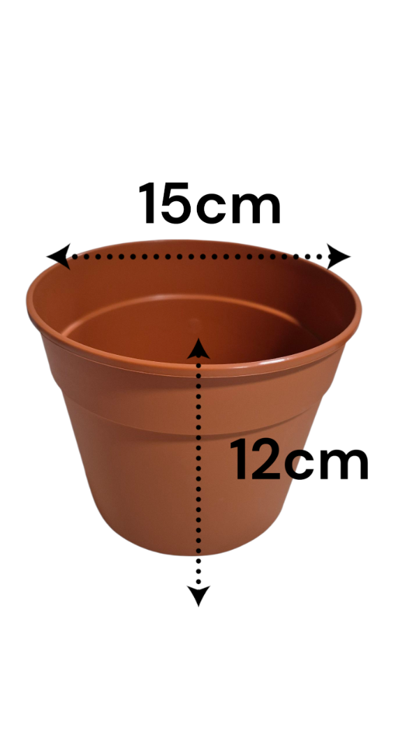 Producto - Maceta Plastic N15