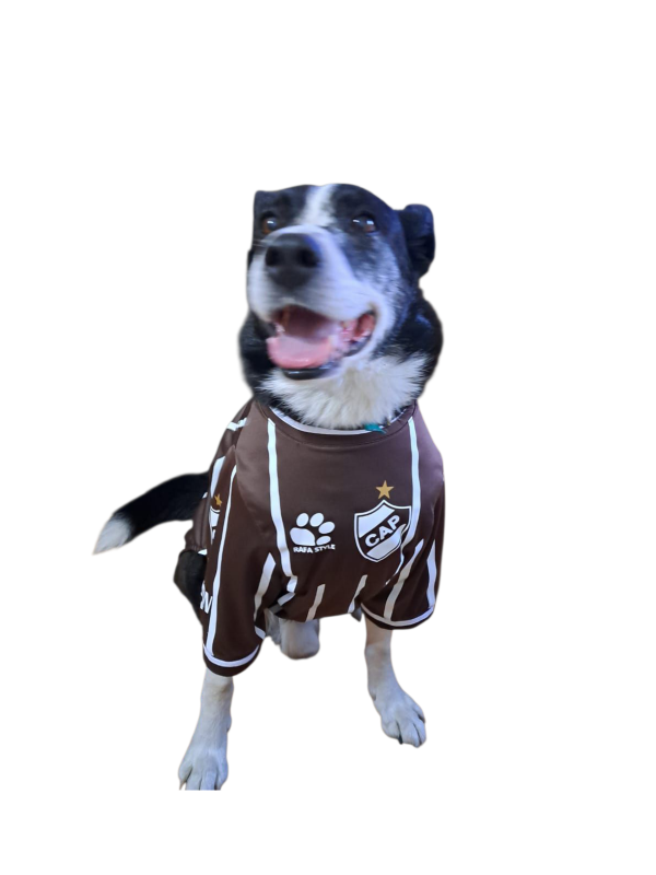 Producto - Camiseta Platense 2025