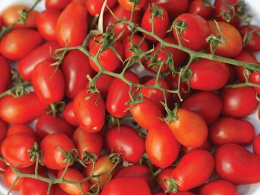 Producto - tomate cherry orgánico UTT