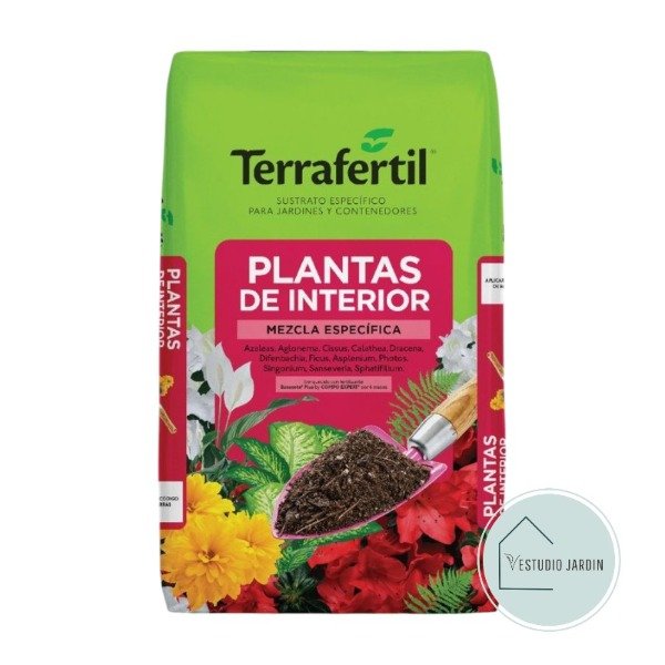 Producto - Plantas de Interior - Terra Fértil