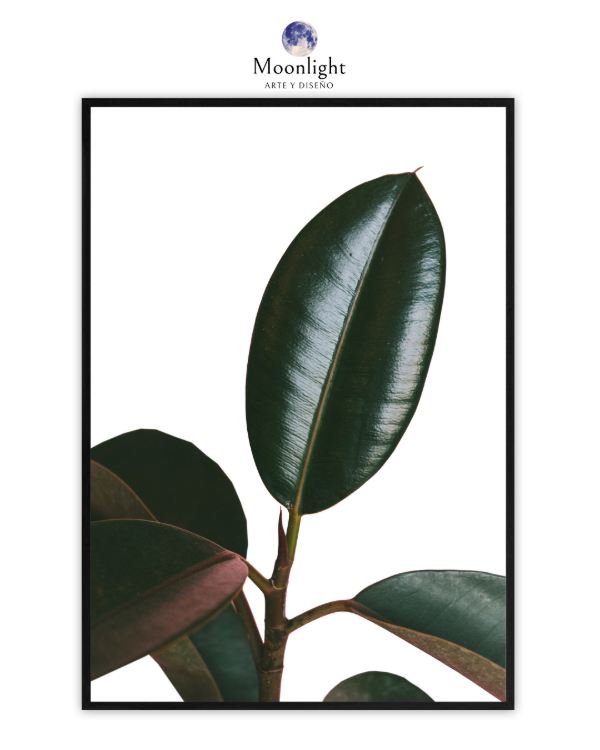 Producto - 28 - Vintage Plant