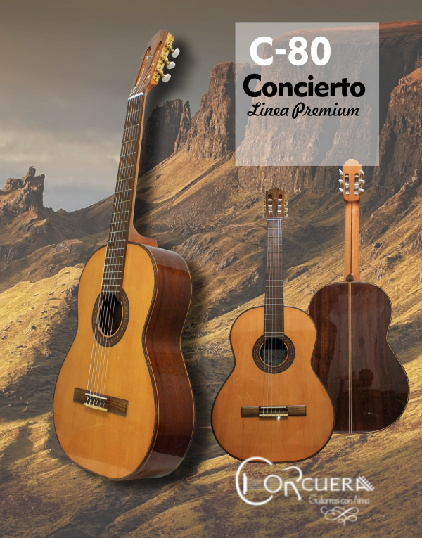 Producto - Guitarra C-80 + Funda Ritter