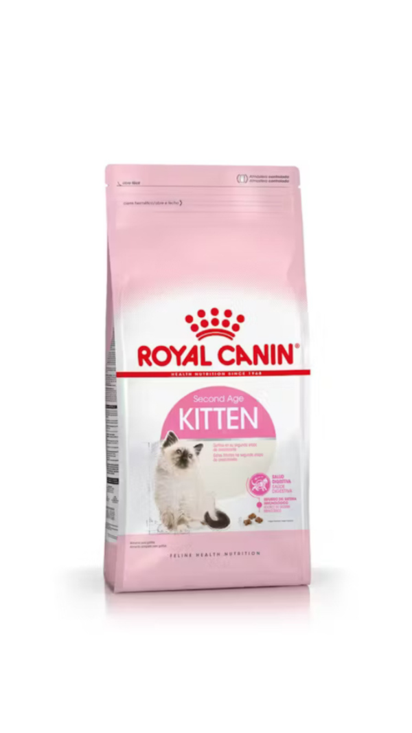 Producto - kitten 36