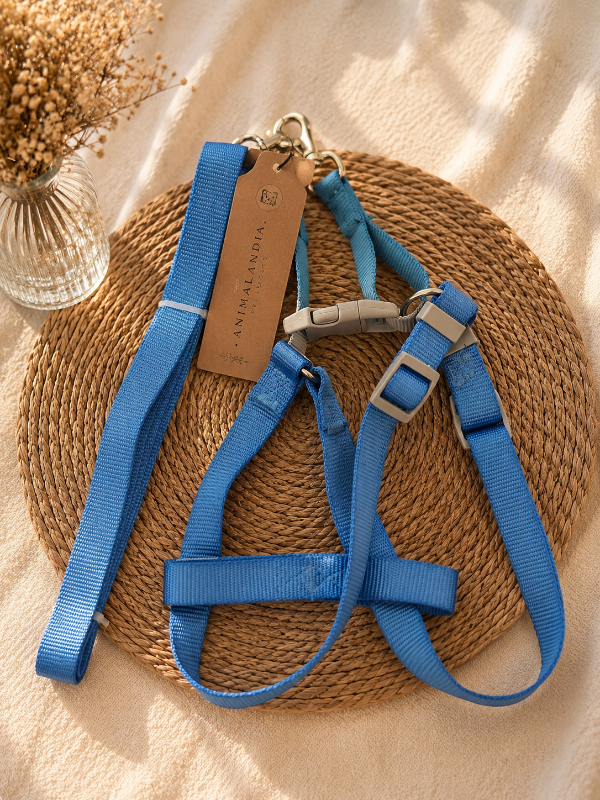 Producto - Set Soho Azul