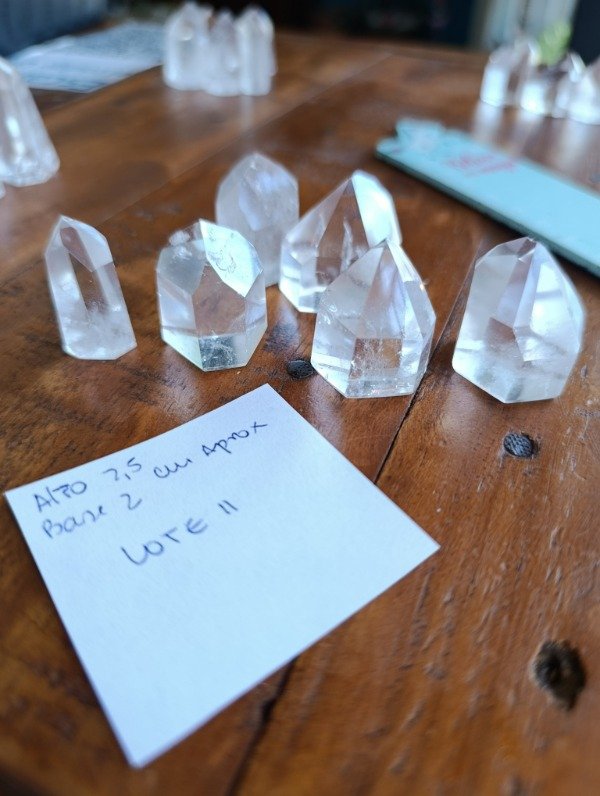 Producto - Lote 11 puntas Tameana x6