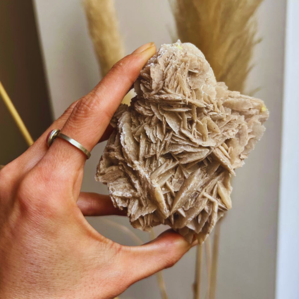 Producto - Rosa del desierto Grande