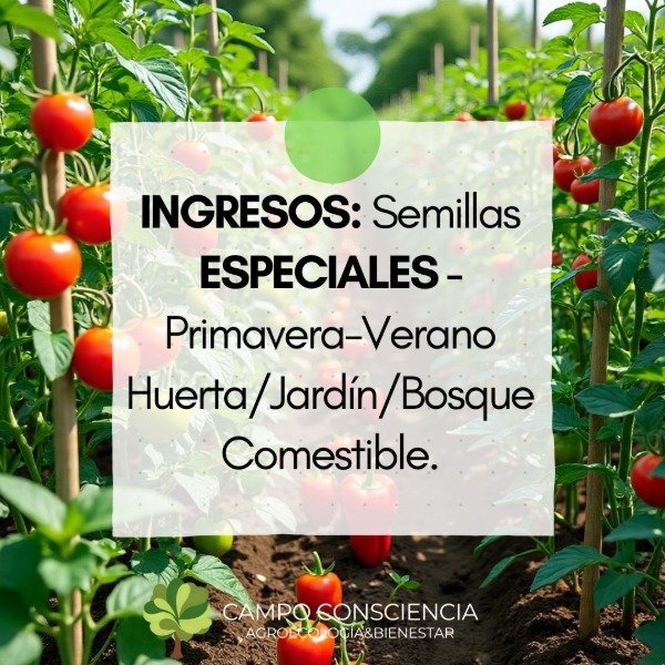 Producto - ESPECIAL - PRI-VER. Sobre INDIVIDUAL Semillas Agroecológicas
