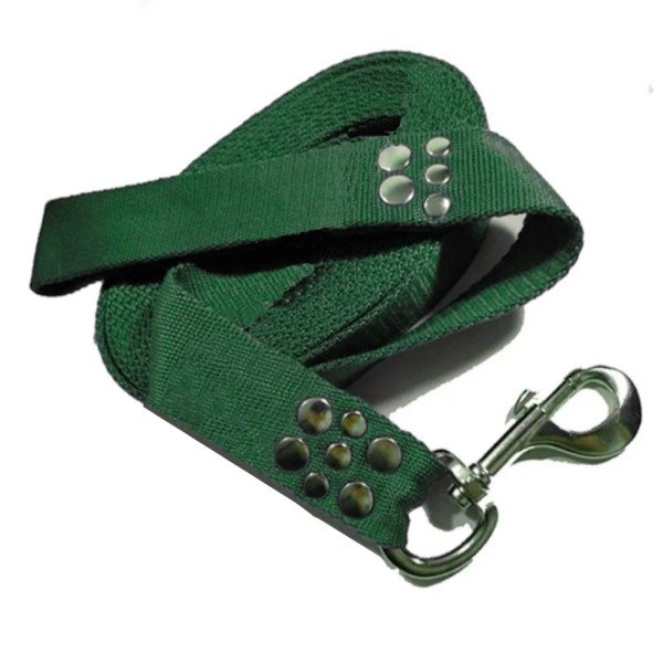 Producto - Correa de perro Strong x 4 cm de ancho con mosquetón de caballo - 1