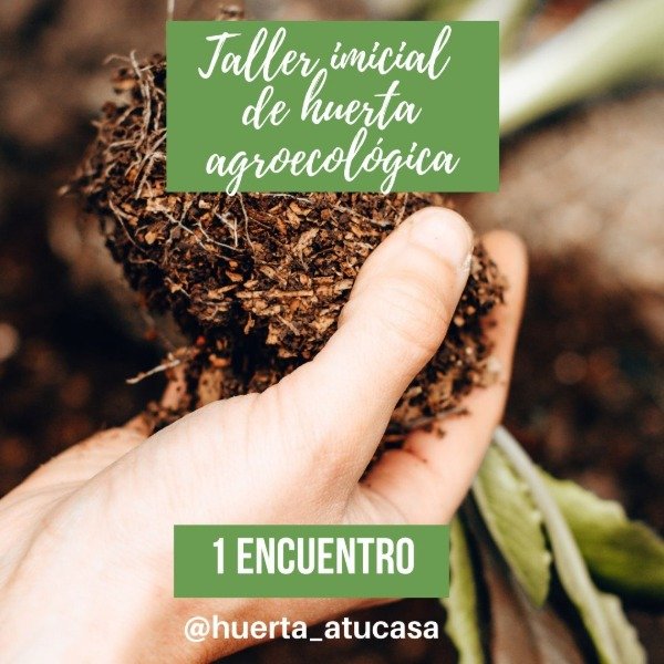 Producto - Taller online de huerta 1 encuentro