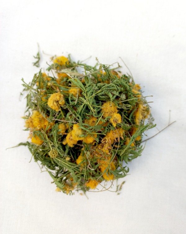 Producto - Espinillo