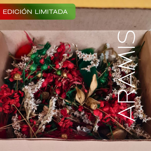 Producto - BOX Navideño flores sin tallos