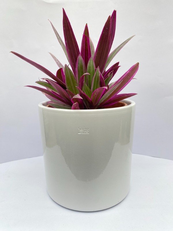 Producto - Barro Cilindro Esmaltado n18