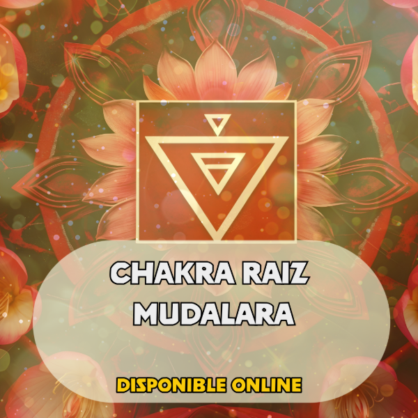Producto - CHAKRA RAIZ  MUDALARA