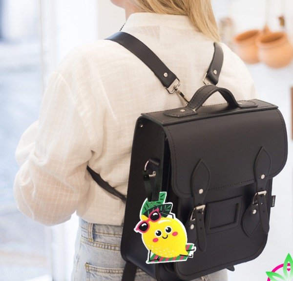 Producto - Identificador de Valija