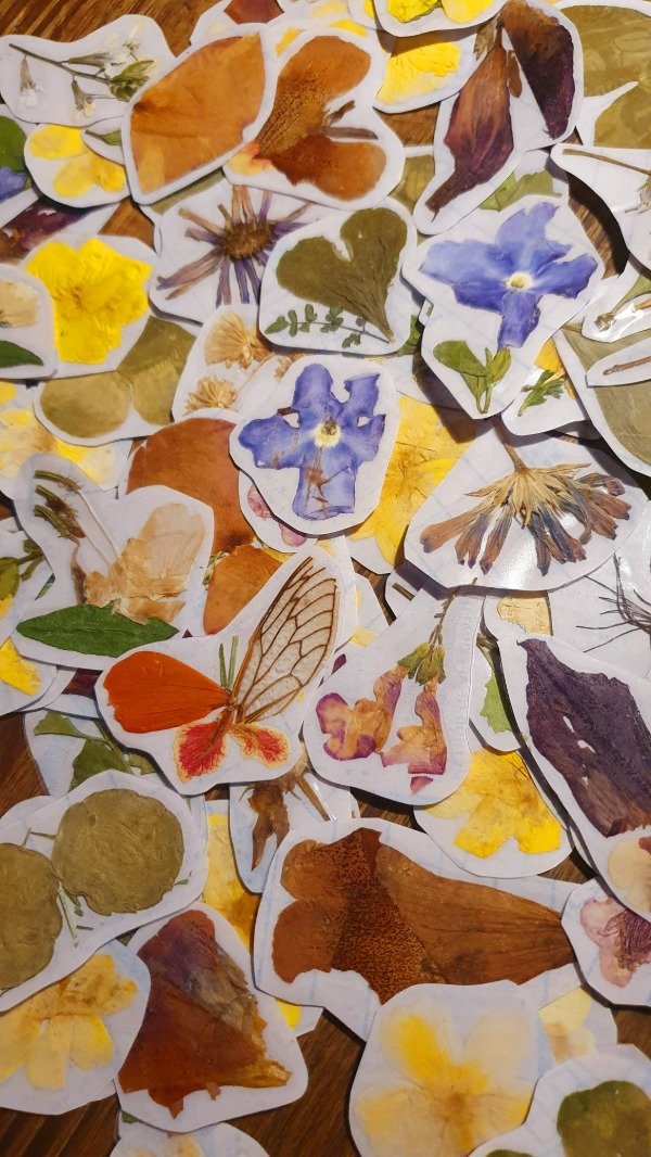 Producto - Stickers de flores prensadas x paquete de 8 stickers.