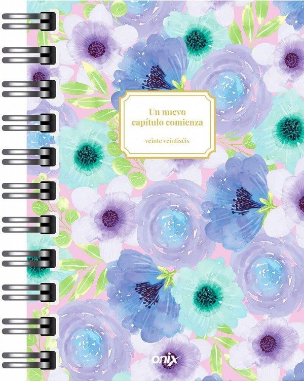 Producto - AGENDA 2026 ONIX AQUAMIST C/ESPIRAL DIARIA 10x15cm