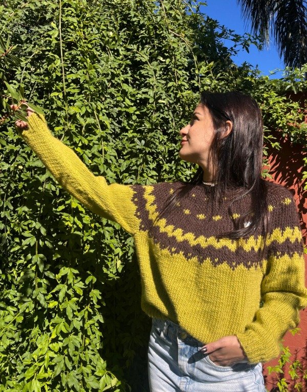 Producto - Sweater base pistacho de lana de oveja.