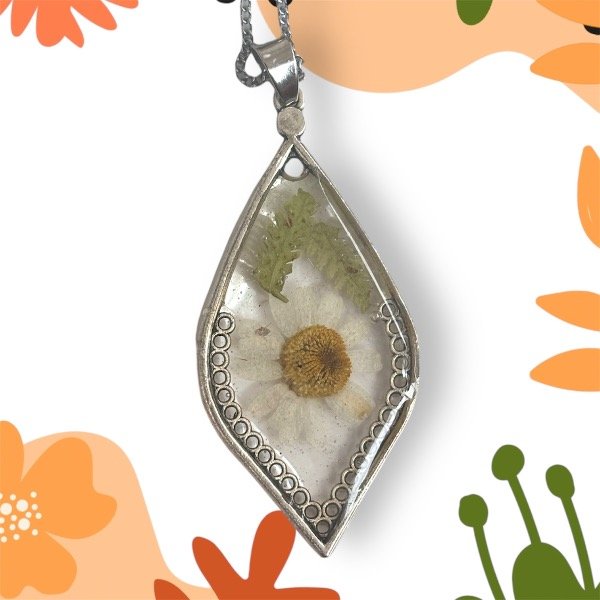 Producto - Margarita blanca