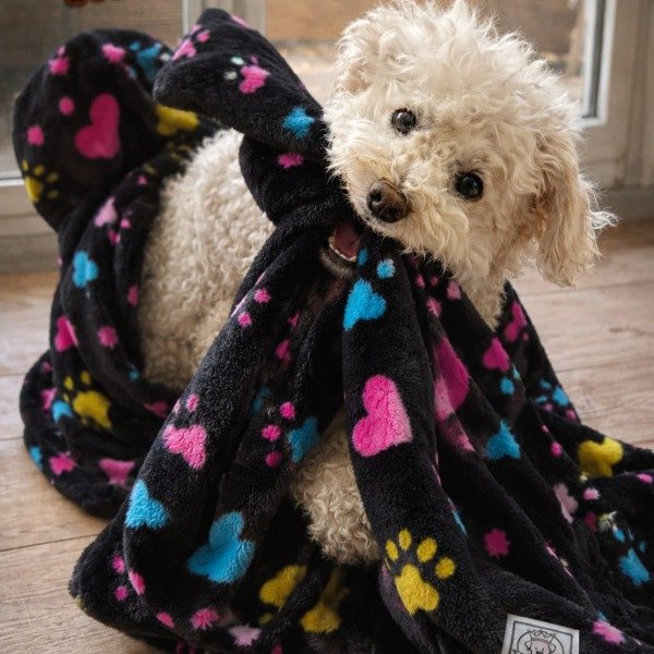 Producto - Manta Polar Soft Negra (Estampada)