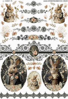 Producto - RABBIT 7B MIXED