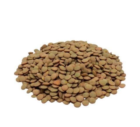 Producto - Lentejon