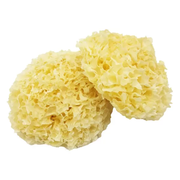 Producto - HONGO TREMELLA EN POLVO - AGROECOLÓGICO 30 GRS.