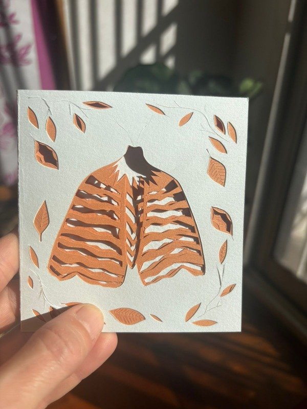Producto - Polilla Celeste
