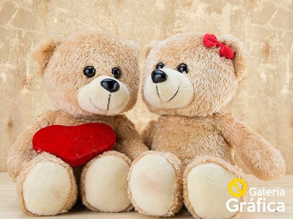 Producto - Ositos Peluches FS 06