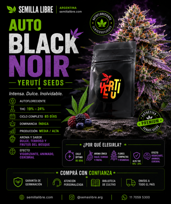 Producto - AUTO BLACK NOIR - YERUTÍ SEEDS. Pack 4 semillas - 1