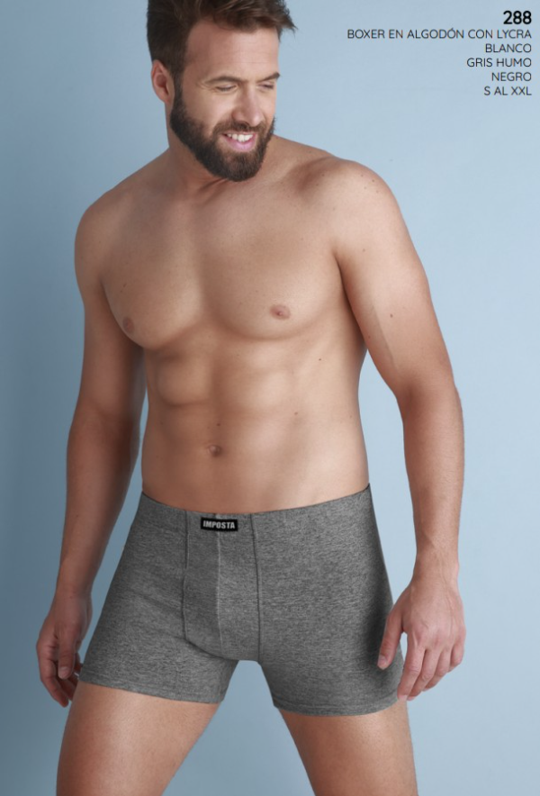 Producto - IMPOSTA 288