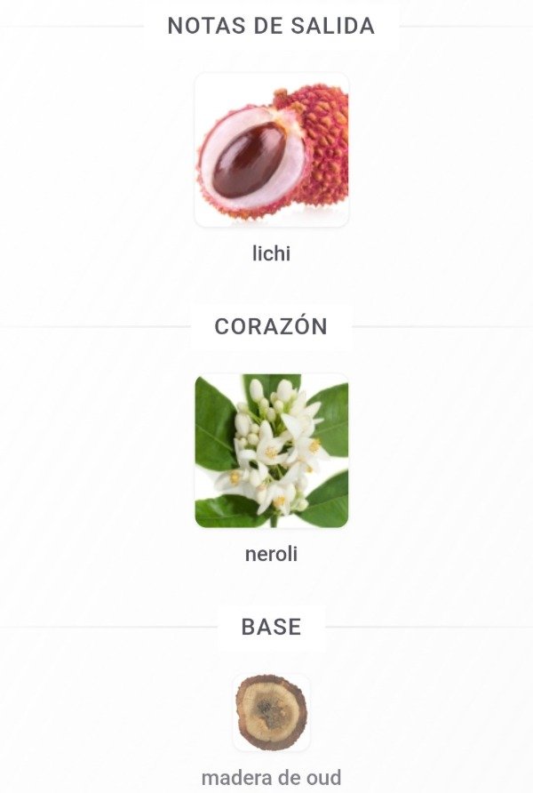Producto - Perfume Prima Parte Lychee and Oud 100ml Zara - 2