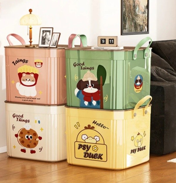 Producto - Organizador con tapa good tangs