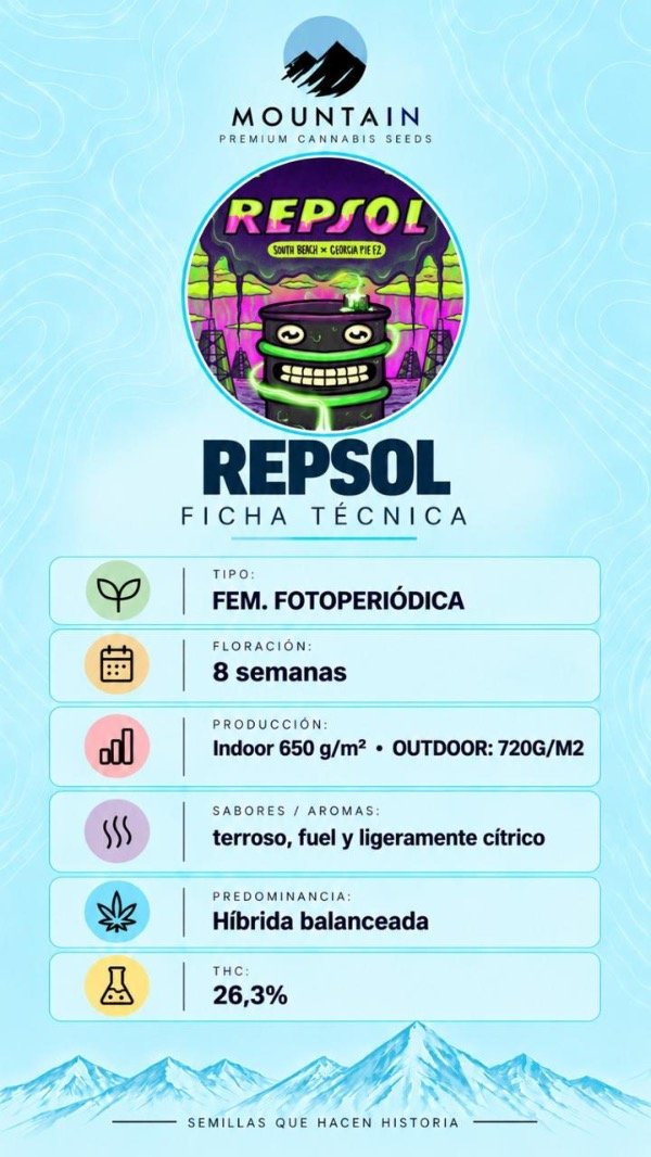 Producto - REPSOL (3 unidades) - 1