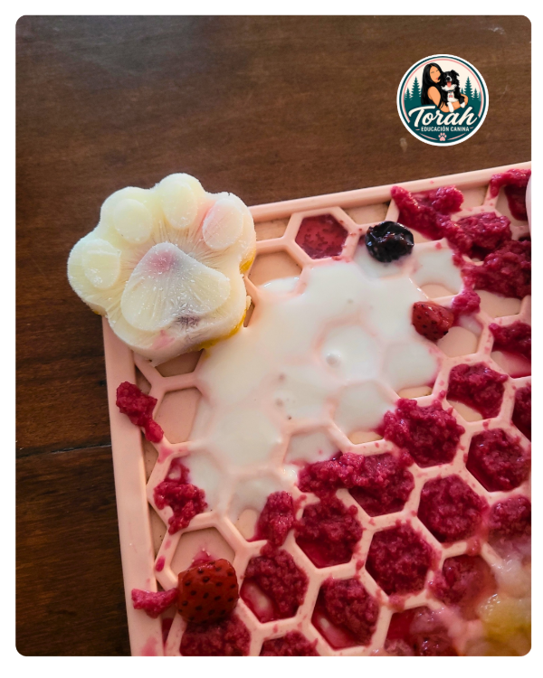 Producto - Alfombra de lamido