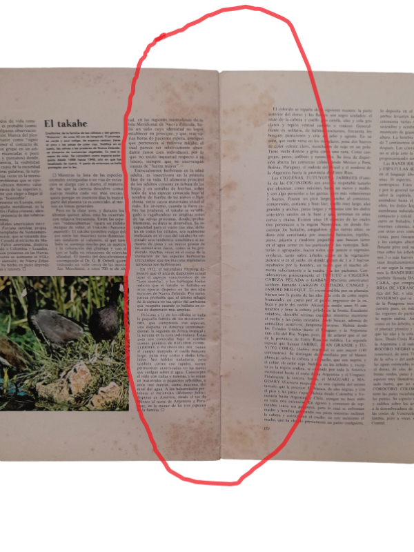 Miniatura de producto - 8