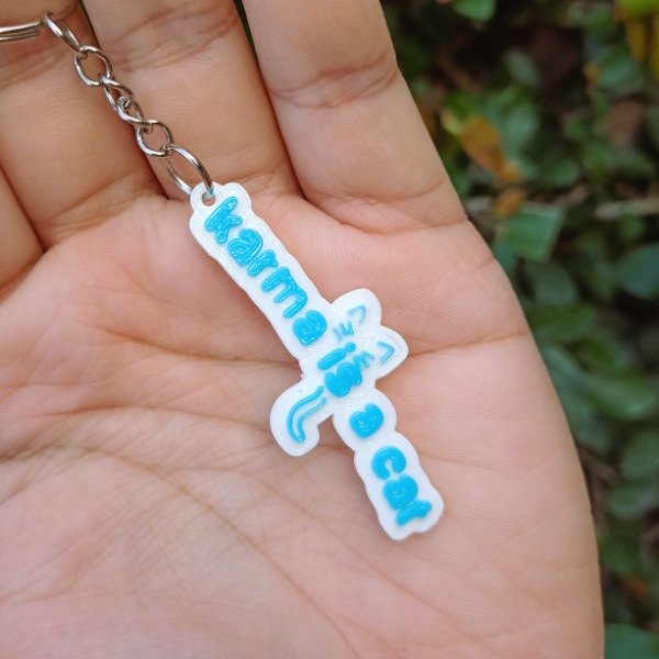 Producto - Karma is a Cat