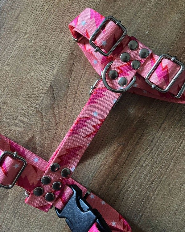 Producto - Pretal H RAYOS PINK