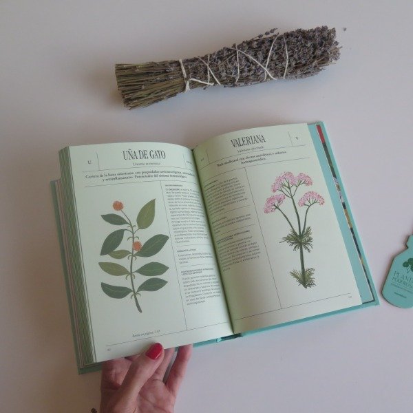 Miniatura de producto - 7