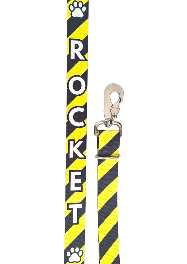 Producto - Correas - 7