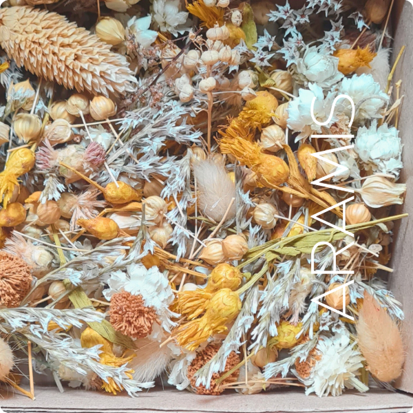 Producto - BOX Mix de flores sin tallo