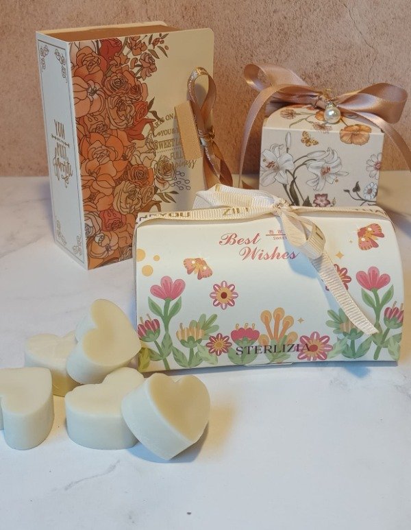 Producto - Ambientador sólido natural