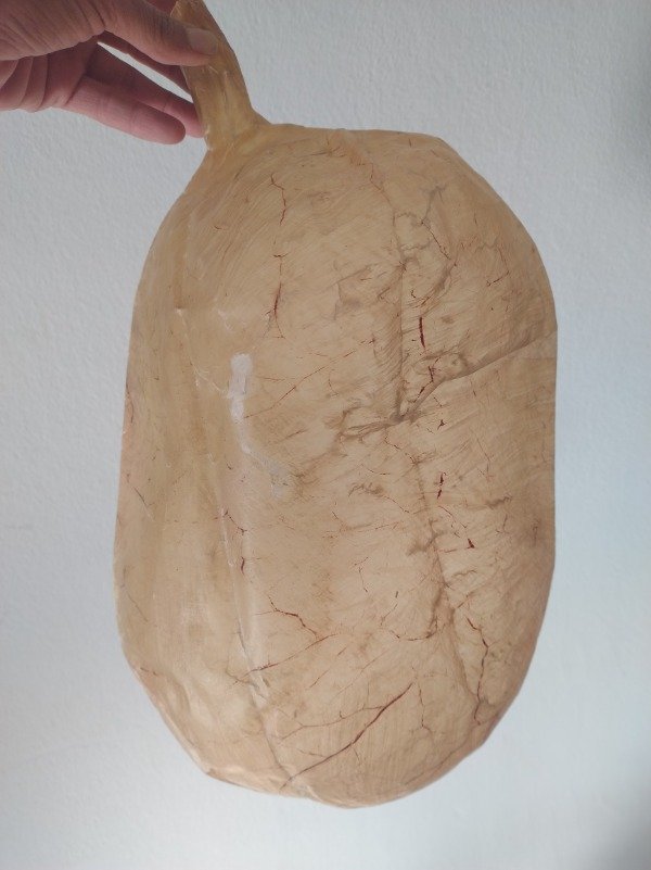Producto - Piñata masticable