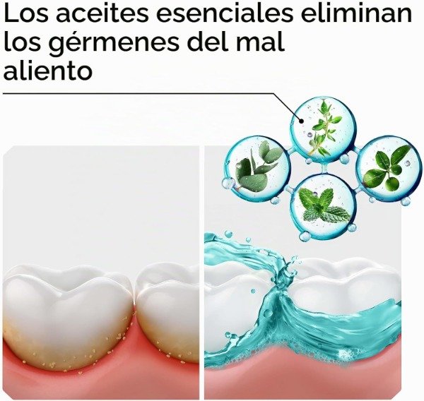 Producto - Listerine On-The-Go Paquetes de Enjuague Bucal de Menta Fresca Sin Alcohol x30 - 4