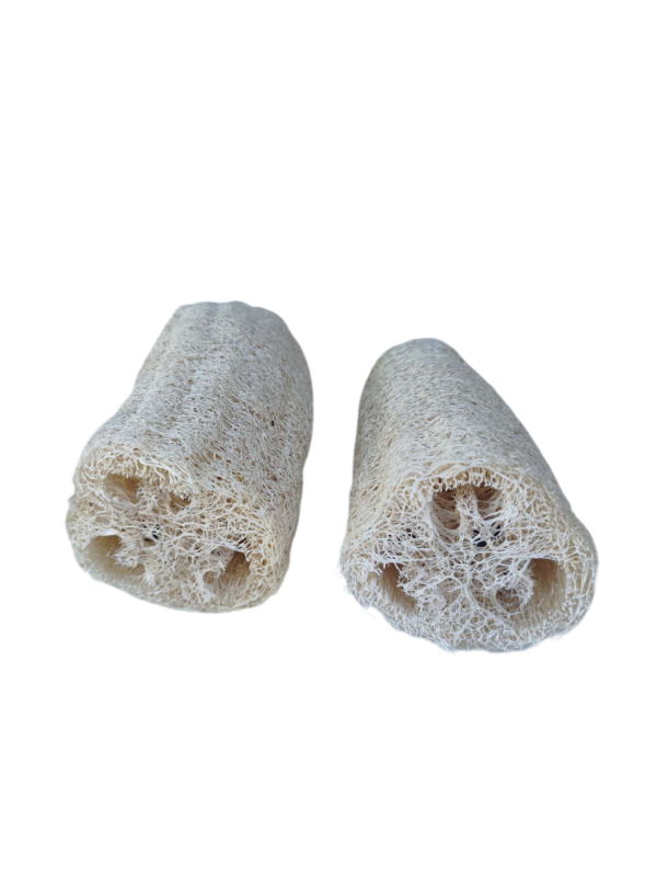 Producto - Esponja Vegetal Luffa