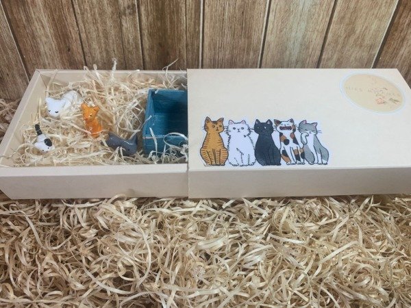 Producto - Caja Gatitos 1