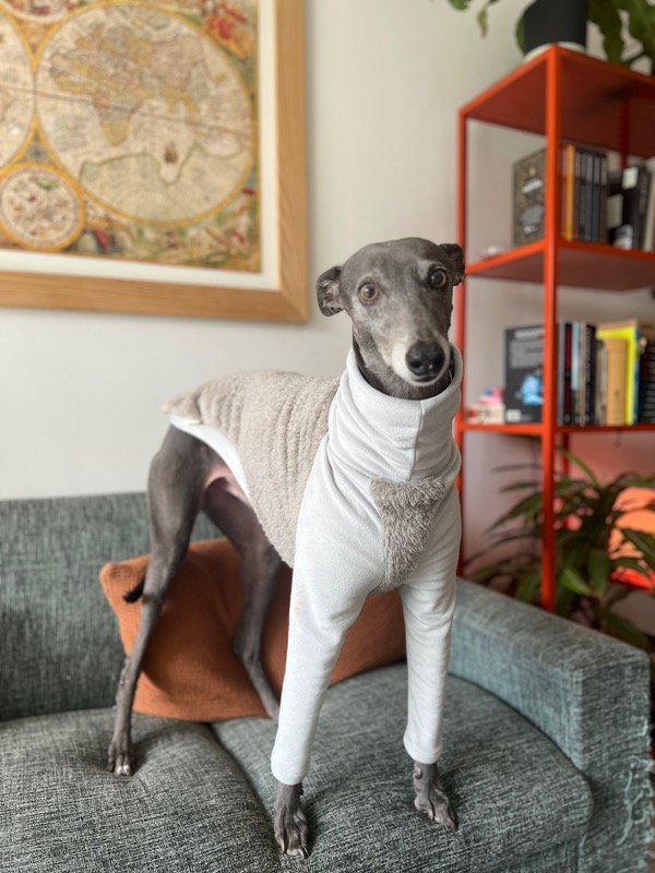 Producto - Abrigo peluchito