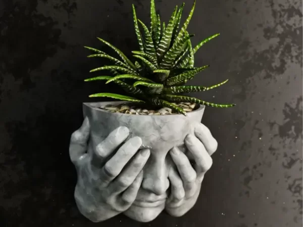 Producto - Belleza Resguardada