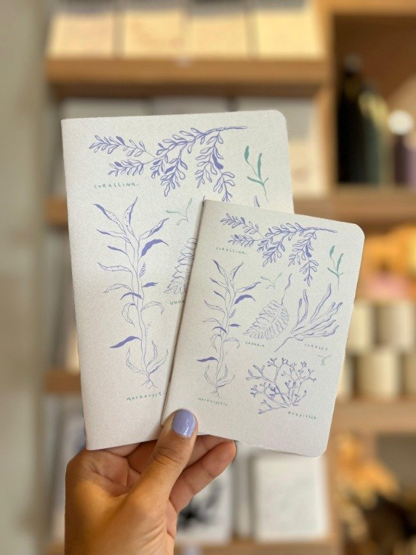 Producto - Cuaderno Algas