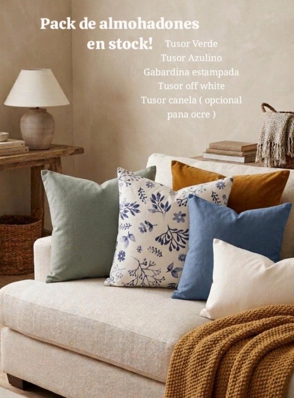 Producto - Pack almohadones BRISA