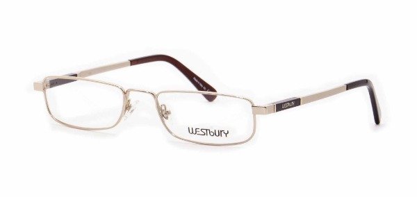 Producto - Anteojo WESTBURY 748 Gord